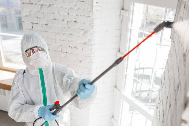 Mold Remediation for Rental Properties in Guerneville, CA