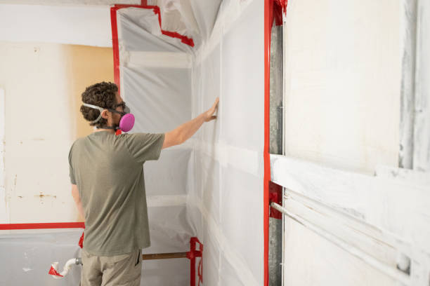 Best Mold Damage Restoration  in Guerneville, CA