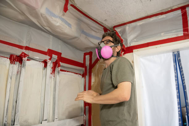 Best Attic Mold Removal  in Guerneville, CA